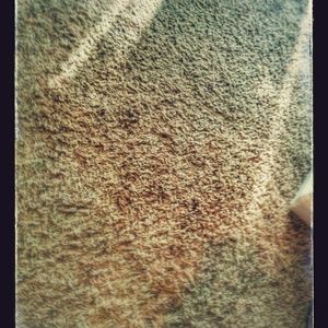 Meet your Posher, Claire